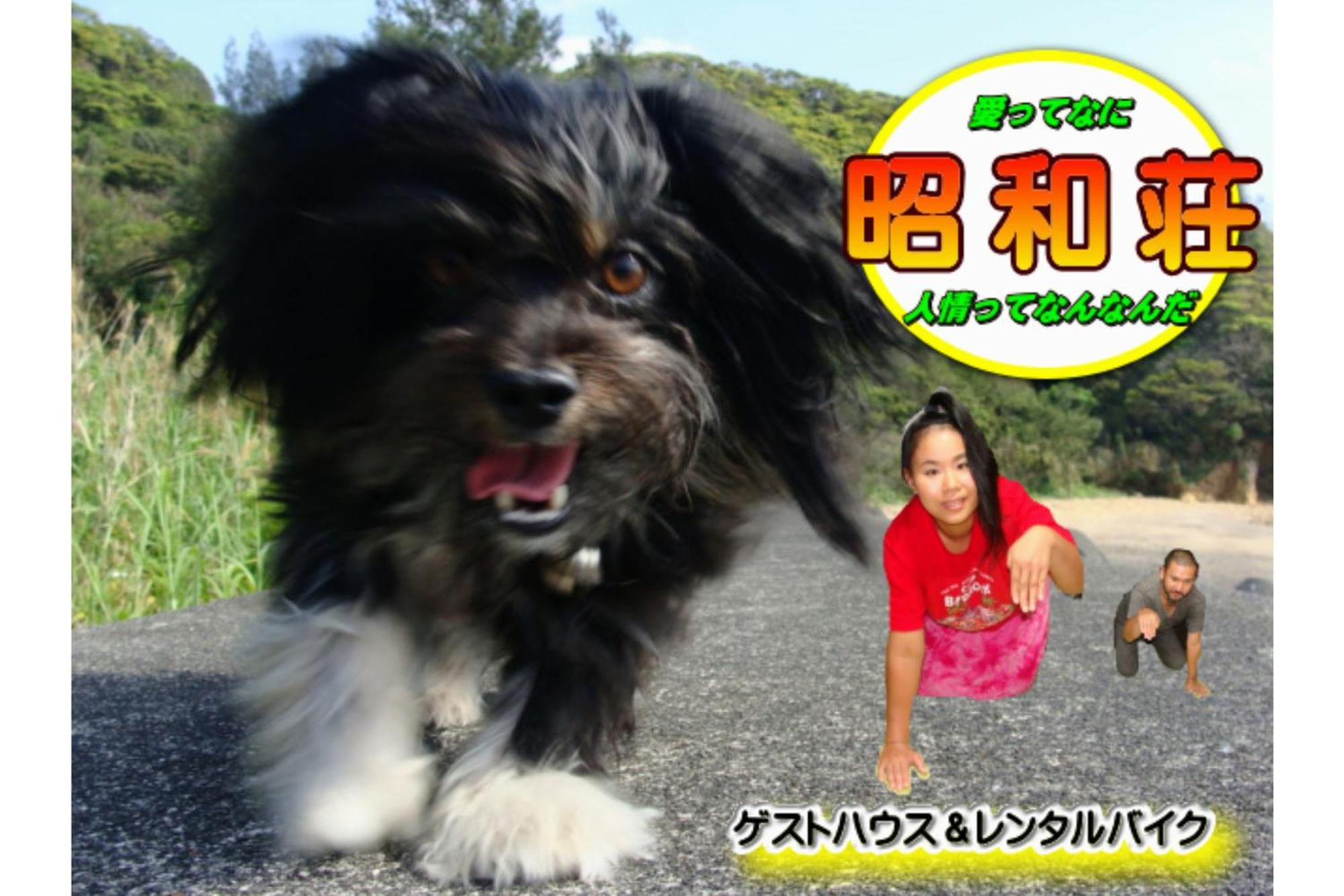 Amami Guest House Showa-So Setouchi  Luaran gambar